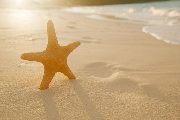 AVIS vous offre plus de 18 façons d'aller à la plage!